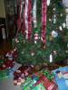 Christmas Presents  (December 25, 2007)