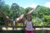 Mandy and the Giraffes (June 27, 2008)