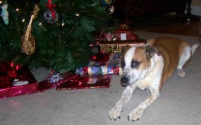 Roxy (December 13, 2007)
