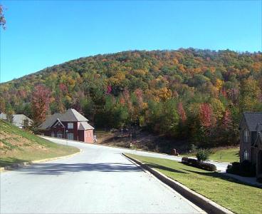 Our Mountain Covered with Leaves (November 6, 2007)
