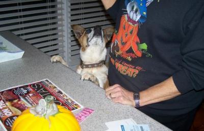 Roxy Helps Carol Get Ready for Halloween (October 31, 2007)