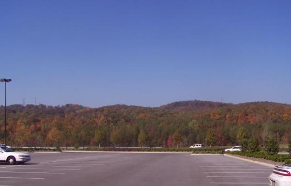 More Autumn Leaves (November 1, 2007)