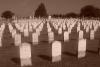 Confederate Graves (June 30, 2007)