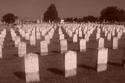 Confederate Graves (June 30, 2007)