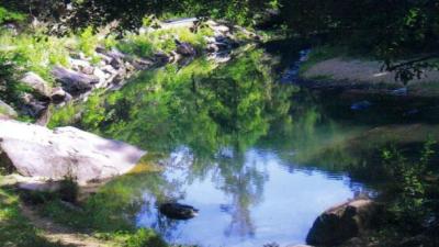 Turkey Creek During The Drought  (c. 2007)