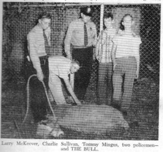 Roping the Bull (October 1955)