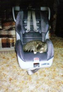 Katrina the Cat in Jacob's Car Seat (c. 1992)