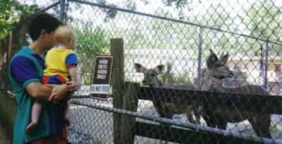 Michael and Jacob at the Zoo (c. 1992)