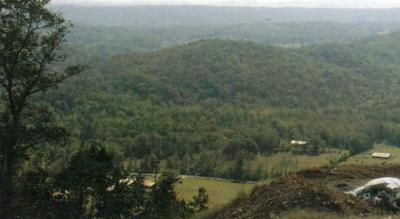 Some Mountains Near Our Home (c.2001)