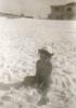 Carol at the Beach (c. 1947)