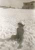 Carol at PC Beach (c. 1947)